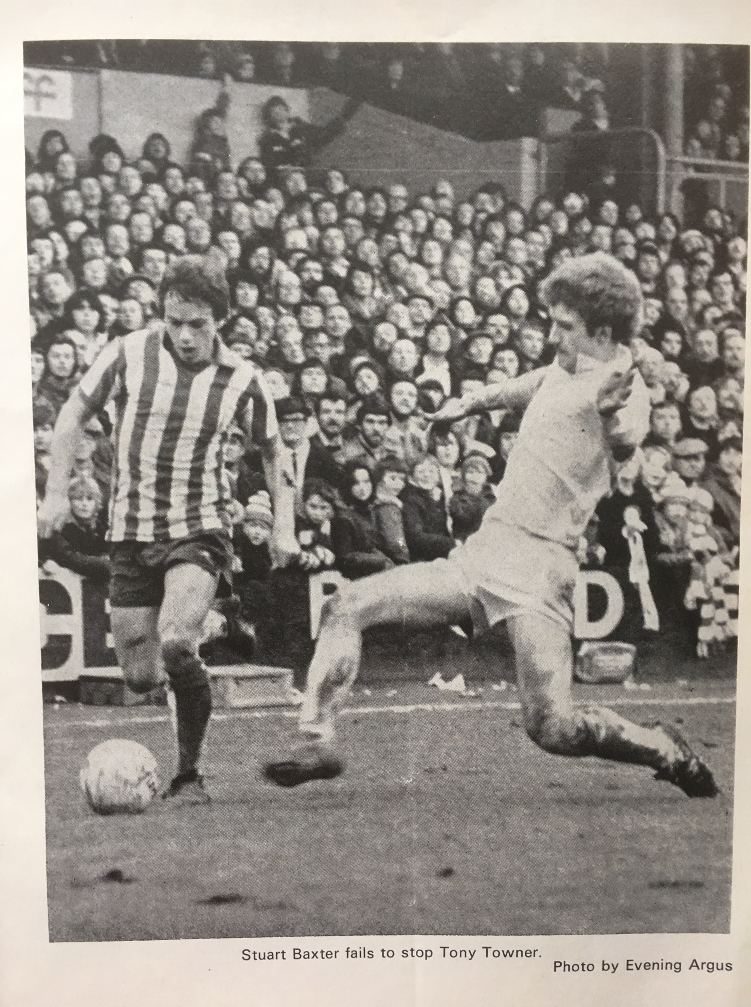 4-argus-shot-towner-on-wing