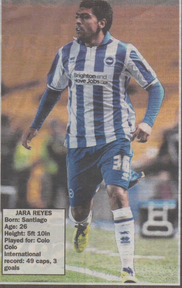 Jara BHA blue and white